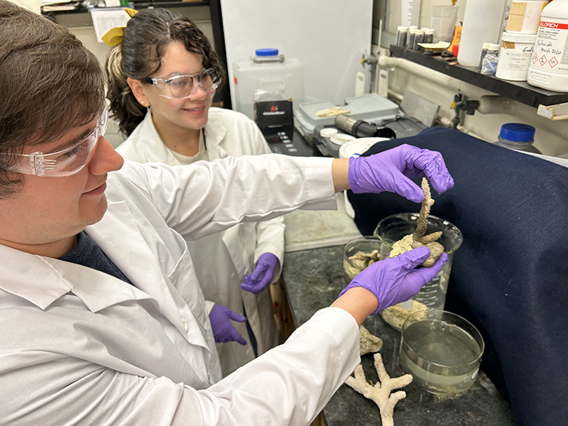Aaron Mena (left) and Jennifer Garcia Rodriguez, graduate students in Purdue University’s Department of Chemistry, affix corals using adhesive formulations developed from fully sustainable, bio-based components. The formulations could have applications in the construction, manufacturing, biomedical, dental, food and cosmetic industries as well as coral reef restoration. (Purdue University photo/Gudrun Schmidt) 